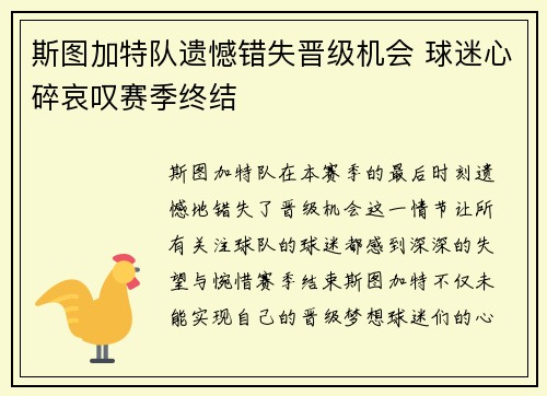 斯图加特队遗憾错失晋级机会 球迷心碎哀叹赛季终结