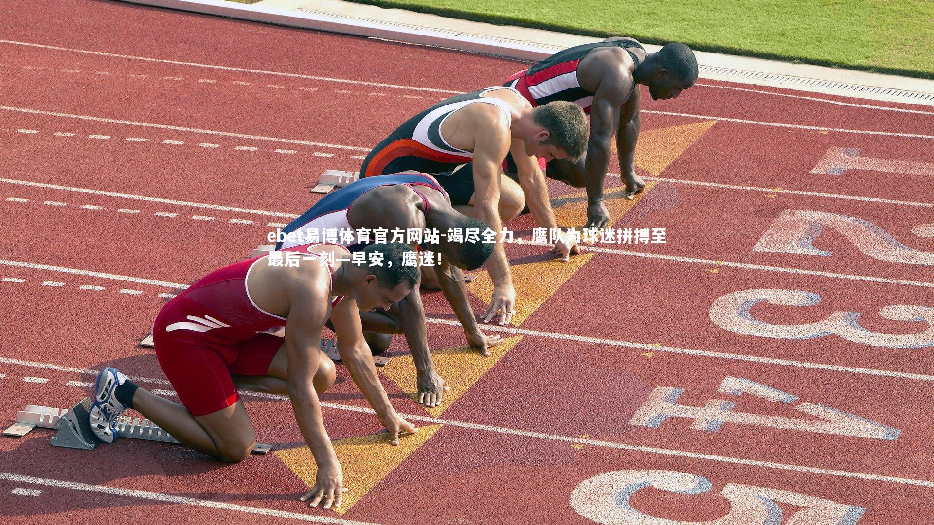 竭尽全力，鹰队为球迷拼搏至最后一刻—早安，鹰迷！